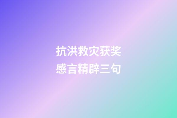 抗洪救灾获奖感言精辟三句