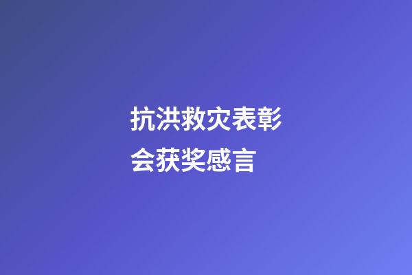 抗洪救灾表彰会获奖感言