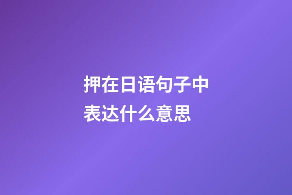 押在日语句子中表达什么意思