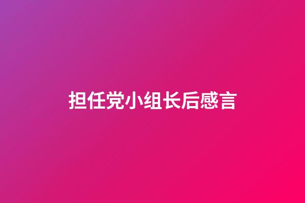 担任党小组长后感言