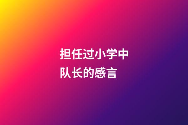 担任过小学中队长的感言