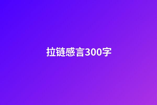 拉链感言300字