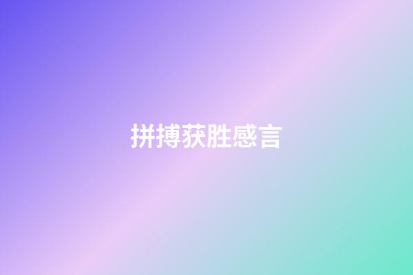 拼搏获胜感言