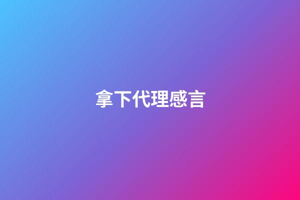 拿下代理感言