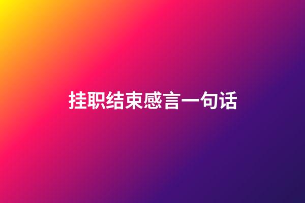 挂职结束感言一句话