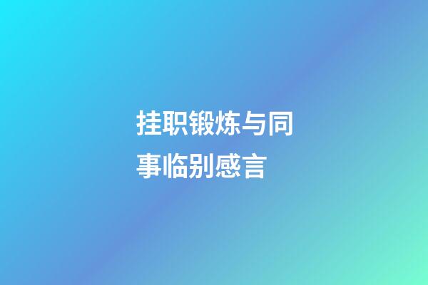 挂职锻炼与同事临别感言