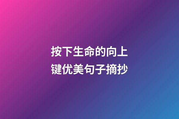 按下生命的向上键优美句子摘抄