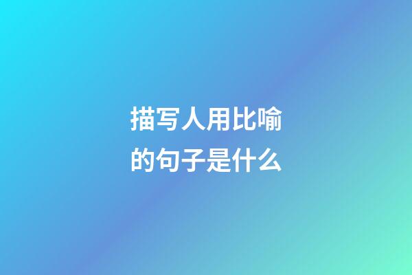 描写人用比喻的句子是什么