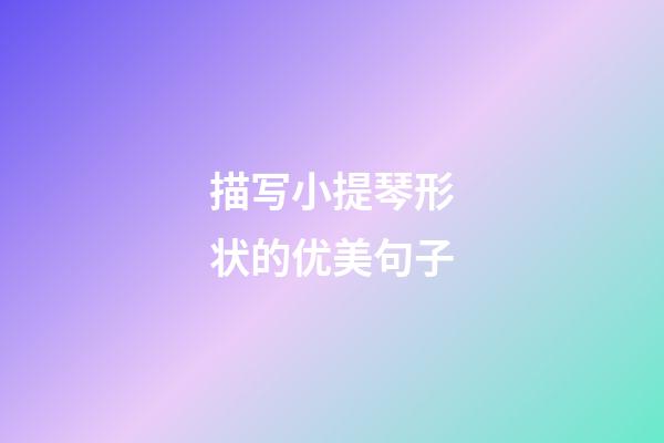 描写小提琴形状的优美句子