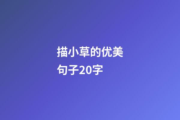 描小草的优美句子20字