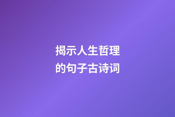 揭示人生哲理的句子古诗词