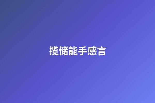 揽储能手感言