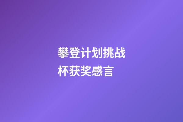 攀登计划挑战杯获奖感言