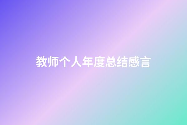 教师个人年度总结感言