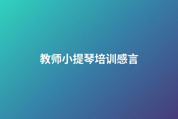 教师小提琴培训感言