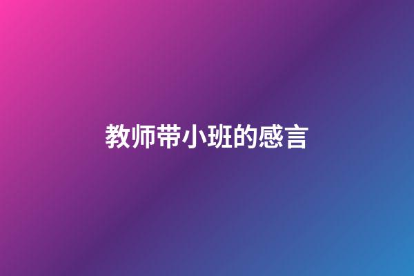 教师带小班的感言