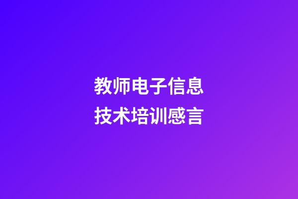 教师电子信息技术培训感言