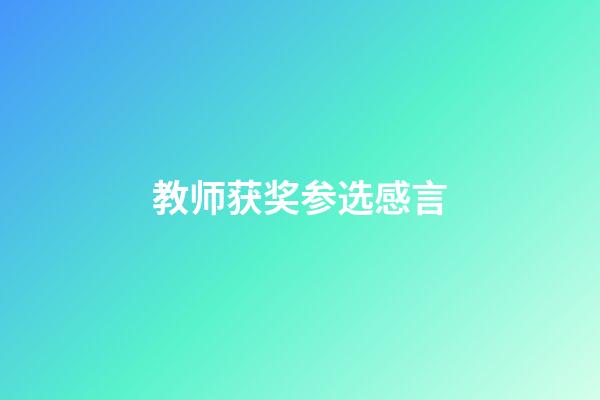 教师获奖参选感言