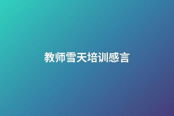 教师雪天培训感言