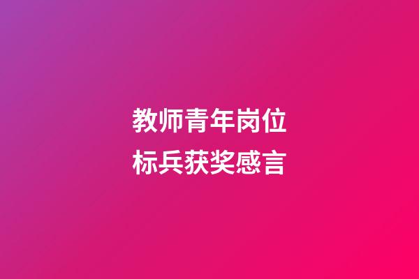 教师青年岗位标兵获奖感言