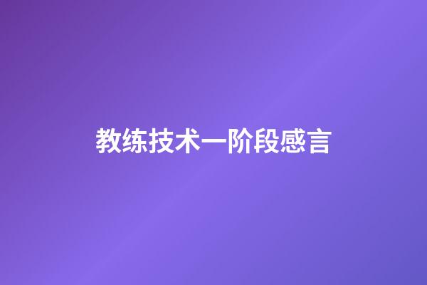 教练技术一阶段感言