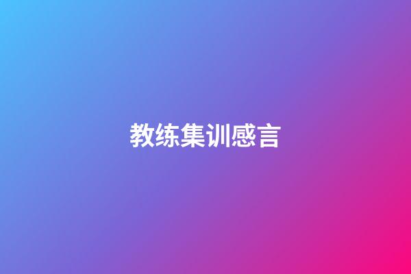 教练集训感言