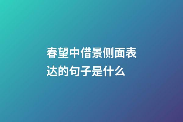 春望中借景侧面表达的句子是什么