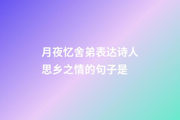 月夜忆舍弟表达诗人思乡之情的句子是