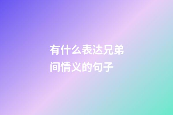 有什么表达兄弟间情义的句子