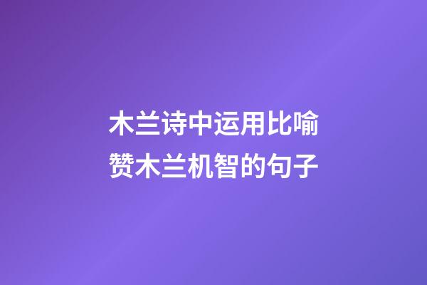 木兰诗中运用比喻赞木兰机智的句子