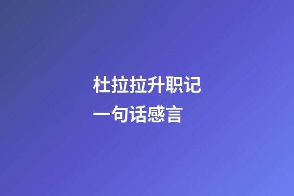 杜拉拉升职记一句话感言