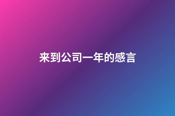 来到公司一年的感言