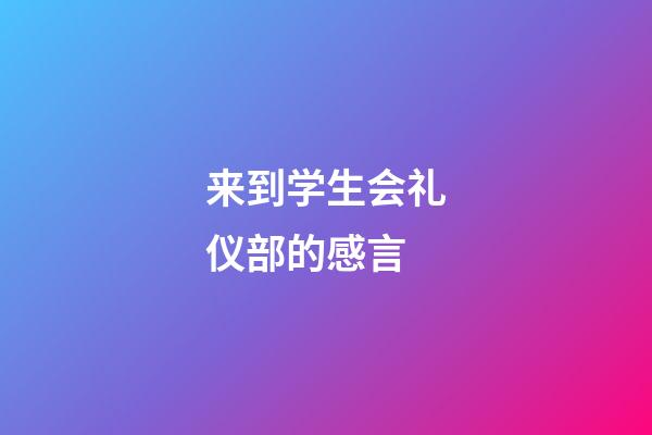 来到学生会礼仪部的感言