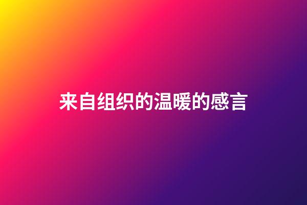 来自组织的温暖的感言