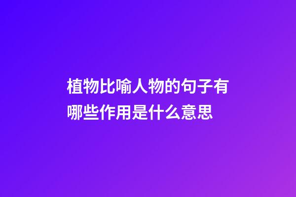 植物比喻人物的句子有哪些作用是什么意思