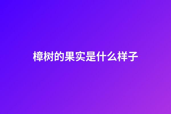 樟树的果实是什么样子