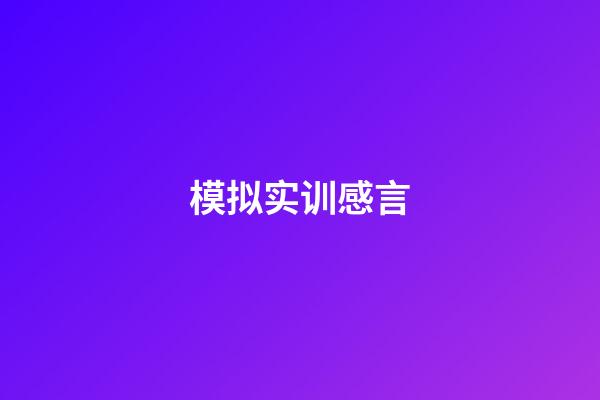 模拟实训感言