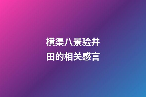 横渠八景验井田的相关感言