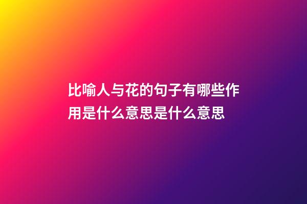 比喻人与花的句子有哪些作用是什么意思是什么意思