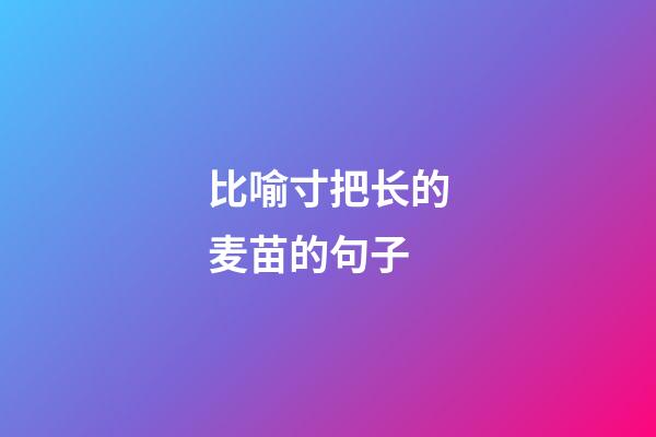 比喻寸把长的麦苗的句子