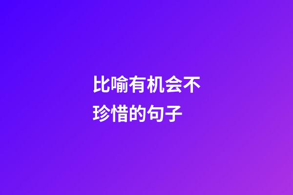 比喻有机会不珍惜的句子