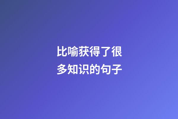 比喻获得了很多知识的句子