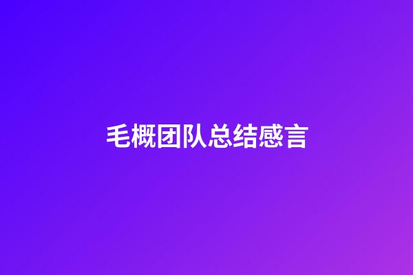 毛概团队总结感言