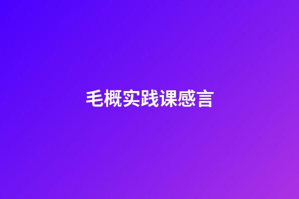 毛概实践课感言