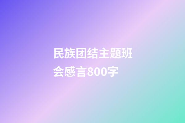 民族团结主题班会感言800字