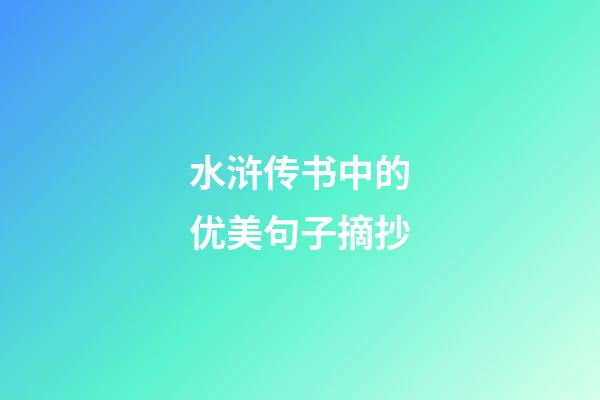 水浒传书中的优美句子摘抄