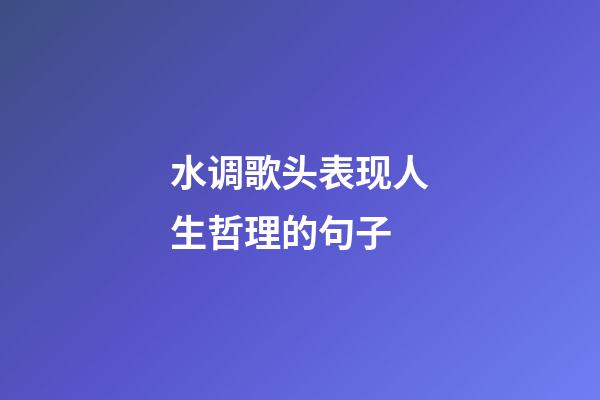 水调歌头表现人生哲理的句子