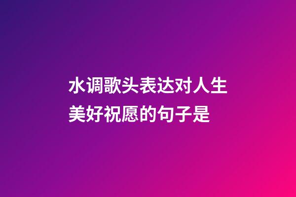 水调歌头表达对人生美好祝愿的句子是