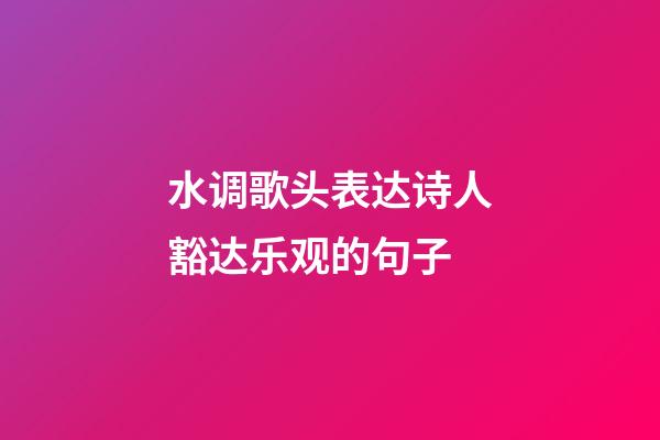 水调歌头表达诗人豁达乐观的句子