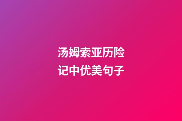 汤姆索亚历险记中优美句子